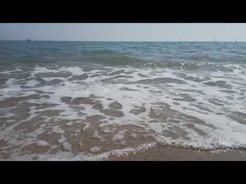 mandvi beach kutch gujarat