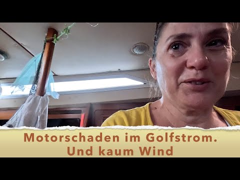 Maschine überhitzt. Flaute im Golfstrom. Riff voraus