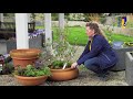 Natuur en Zo TV: bijen, vlinders en andere insecten in de tuin