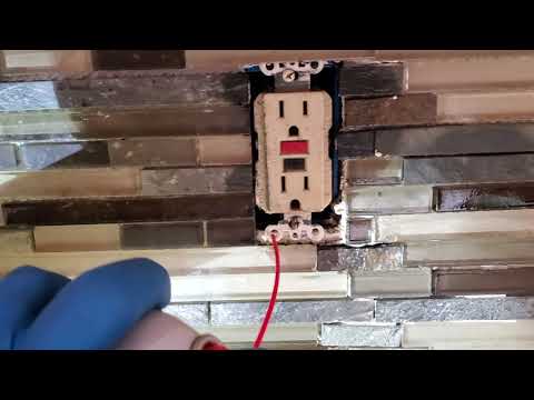 A Severe Cockroach Infestation Needs an Intense Treatment in Brick, NJ