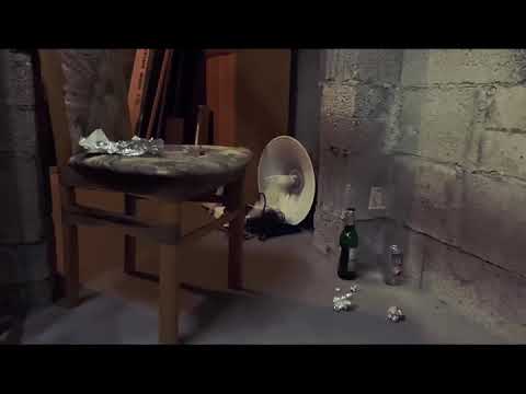 ASAP MOLLY - Zu viel (Official Video)