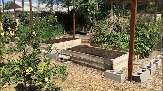How to Plant a Raised Bed Garden