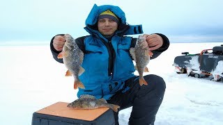 Карельский форум о рыбалке в карелии