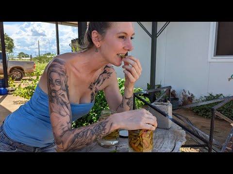 Pickled peppers | tasty like from the greek