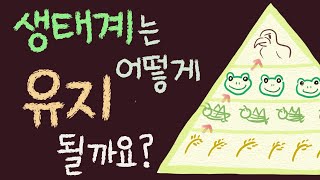 생태계는 어떻게 유지 될까요? ■주요개념: 생태피라미드, 생태계평형 [초등 과학 5학년 2학기 2단원 5차시 ]