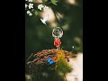 Dil Hai Chota Sa Song Status New What S App Status Shorts ChotiSiAsha Bachpan