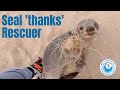 Baby seal THANKS his rescuers