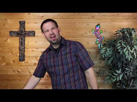 Gedanken zum Tag (05.06.2020)