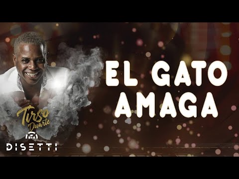 Tirso Duarte - El Gato Amaga | Salsa Cubana