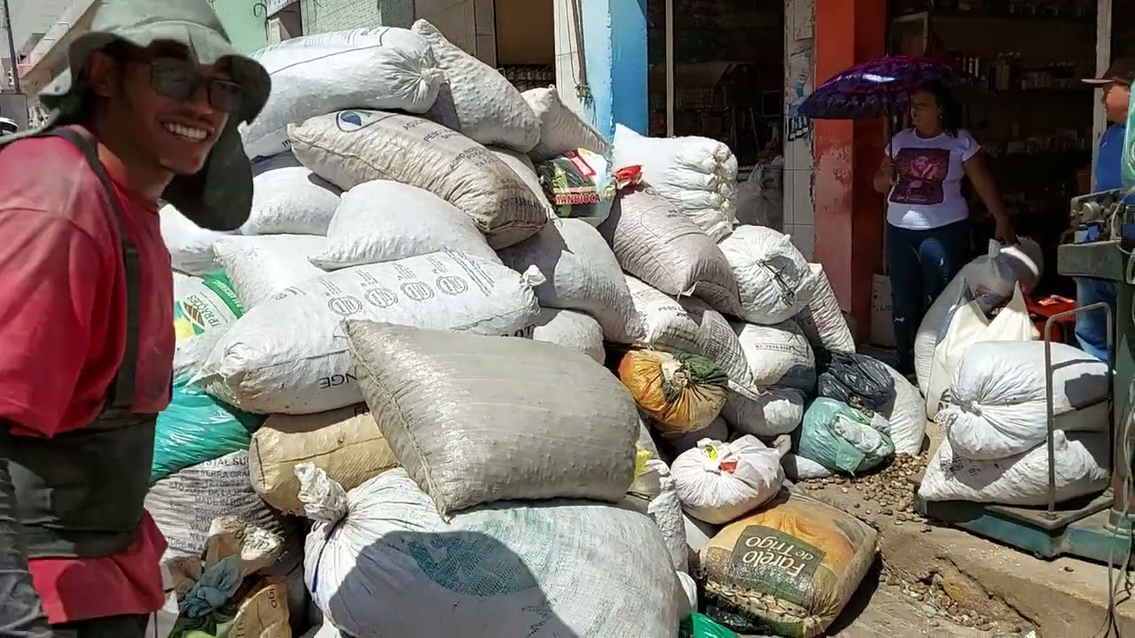 estamos na safra de caju esse é  maior comprador castanha de buique Pernambuco