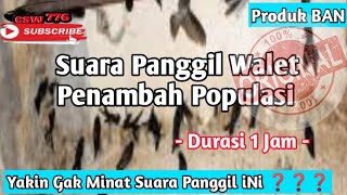 Download lagu SUARA PANGGIL No1 PRODUK BAN Yang Masih Banyak Dicari PETANI WALET ..!! Hasil Dari Open Protek mp3