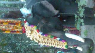 Download lagu killikulangara.com ,Devitheertham,sreejithkilli.wmv mp3