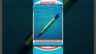 AI Gliders Help Scientists Decode Whale Communication In Deep Ocean | Tech It Out