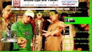 kottonmouth kings - we got the cronic srh click