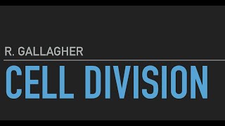 Cell Division