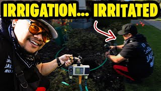Budget Lawn Irrigation... more like Irritation 🤦🏾♂️