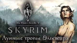 Лунные тропы Эльсвейра 2 | TES V Skyrim | Thruscore Stream
