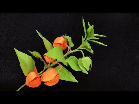 ABC TV | How To Make Chinese Lanterns Paper - Craft Tutorial