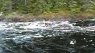 The Cure / Waltari - Forest