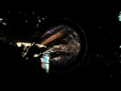 Throwing Snow - Dragons (Official Video) [Houndstooth]