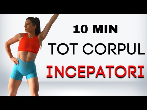 10 Minutes for BEGINNERS | Full Body Workout for BEGINNERS (no equipment)