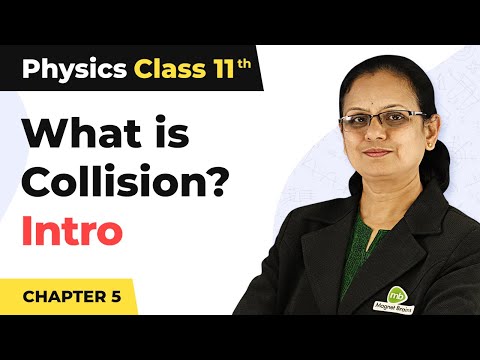 Collision - Work, Energy and Power | Class 11 Physics