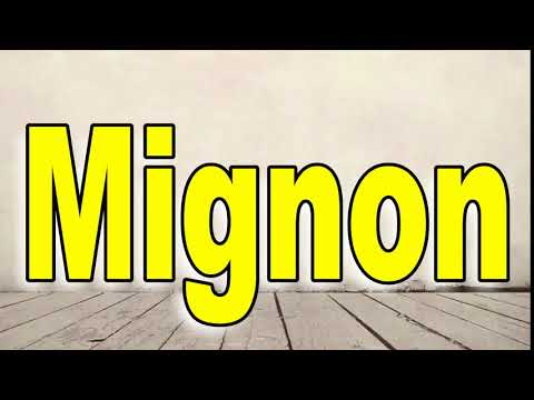 How to Pronounce Mignon