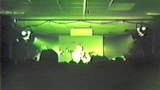 Dayglo Abortions Hide The Hamster