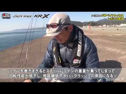 LTZについて詳しく解説