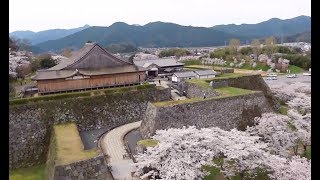 篠山城　空撮動画