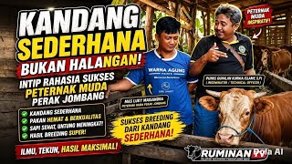 Download lagu KANDANGNYA SEDERHANA, HASILNYA LUAR BIASA! Cara Peternak Muda Jatiganggong Cetak Sapi Berkualitas mp3