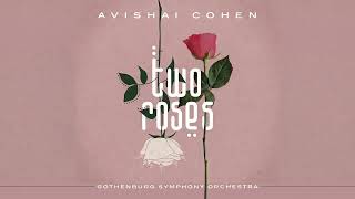 Avishai Cohen - Two Roses (Full album)