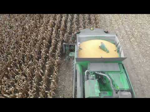 Corn Harvesting in South-Somogy