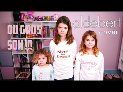 Du Gros Son - Aldebert [Cover]