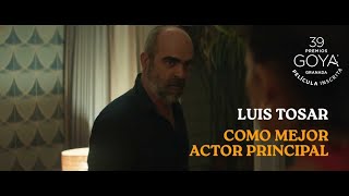 Luis Tosar