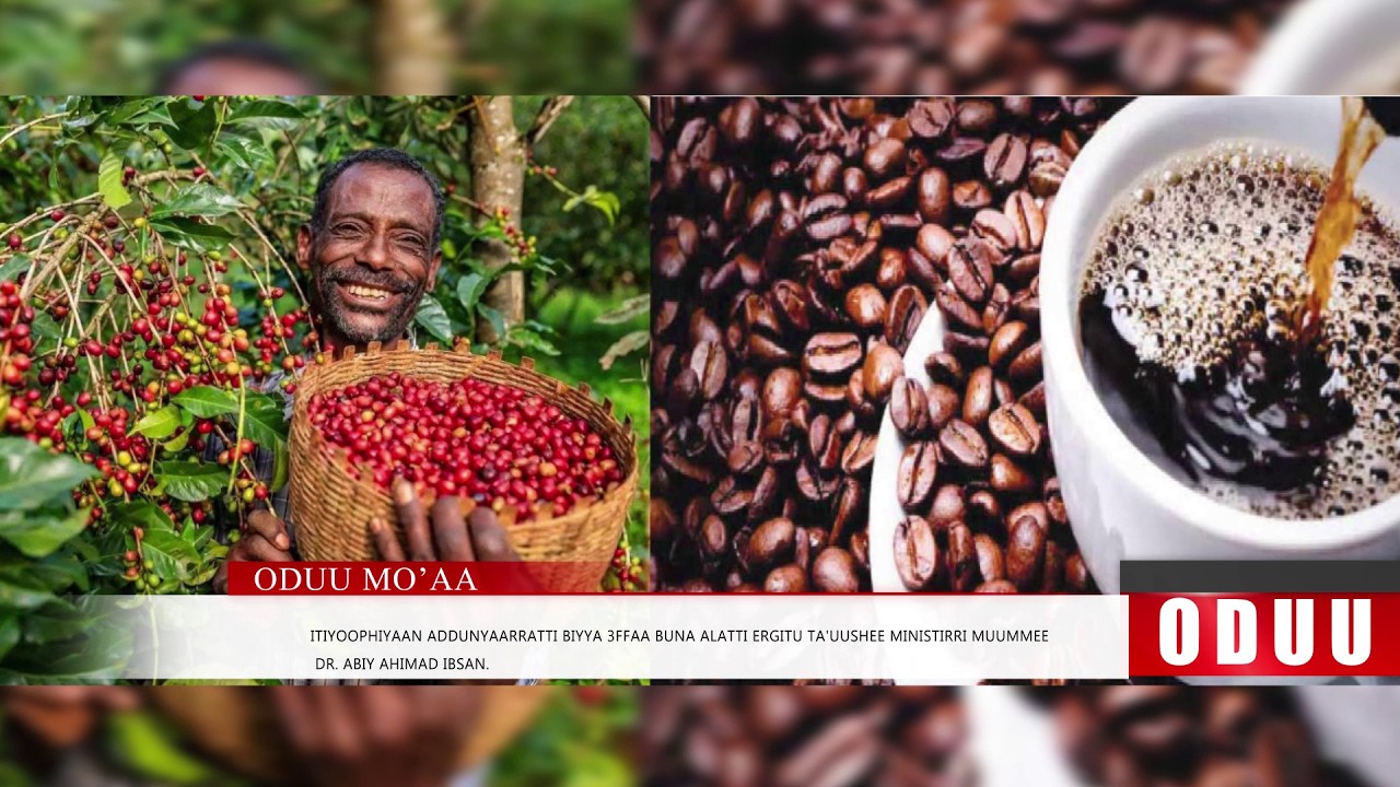Mo'aa : Oduu Roobii  Galgalaa (Adoolessa 6 . 2026) Finfinnee