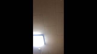 Live Stream - Cameleon Live for iPhone