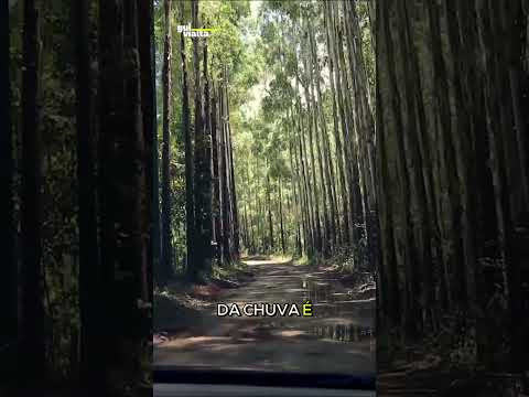 Poços de Caldas e suas estradas - Sul de Minas (MG)