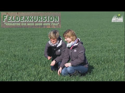 40. Feldexkursion: Was sind Feldversuche? Versuchsstandort - NU Agrar, 25.05.2016 (field trials)