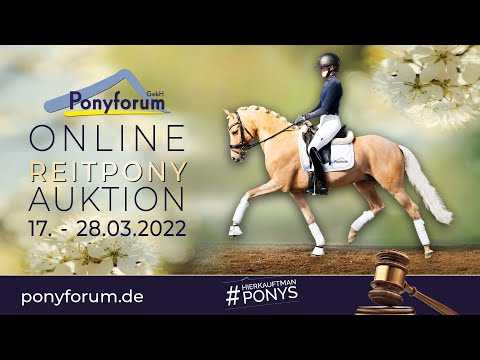 DATINGS DARK ART AT Stute 2016 v. Dating AT NRW / Dance Star AT