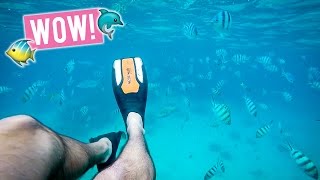 Is this the Best Diving Spot in the World? | Soneva Kiri Thailand