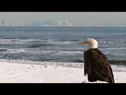 ALEX PHRATZ feat. AERYN  - "World In Our Hands"  (inside: HIT MANIA pres: HITORMENTONI WINTER 2016)