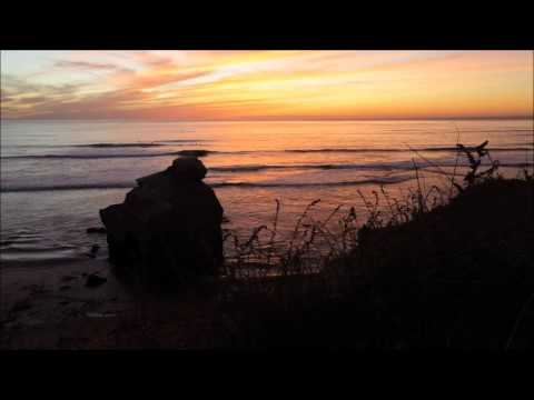 Alice - Cosa succederà alla ragazza (C.S.A.R.)