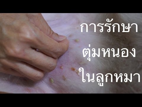 การรักษาไนโตรกลีเซอสำหรับความอ่อนแอ รายละเอียดเกี่ยวกับ Exciter เพศหญิง