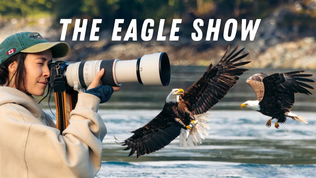 Bald Eagles