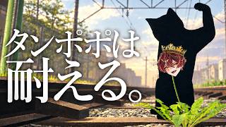 【タンポポは耐える】育たんならやらんよ【ばぁう／騎士X】
