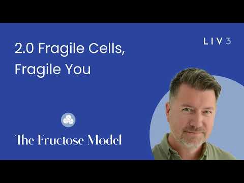 2.0 Fragile Cells → Fragile Systems: How Energy Failure Drives Chronic Disease | The Fructose Model