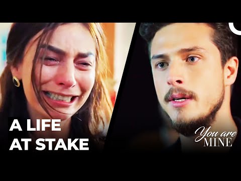 Searching for the Culprit - You Are Mine