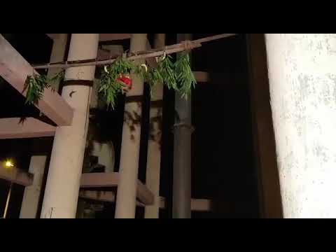 Dahi handi bmm 2017