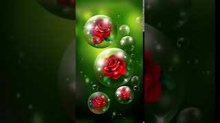 Galaxy themes : [YEAH] Bubble red rose - green